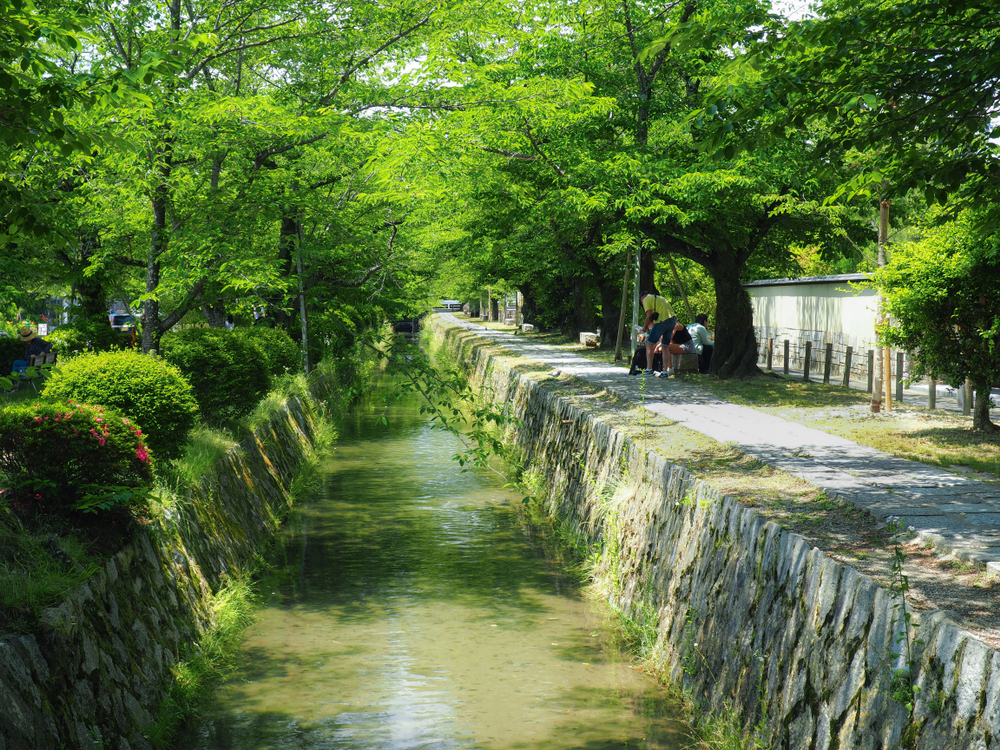 [Kyoto] Philosopher’s Path: A Tranquil Stroll through Japan’s Scenic and Historic Heart