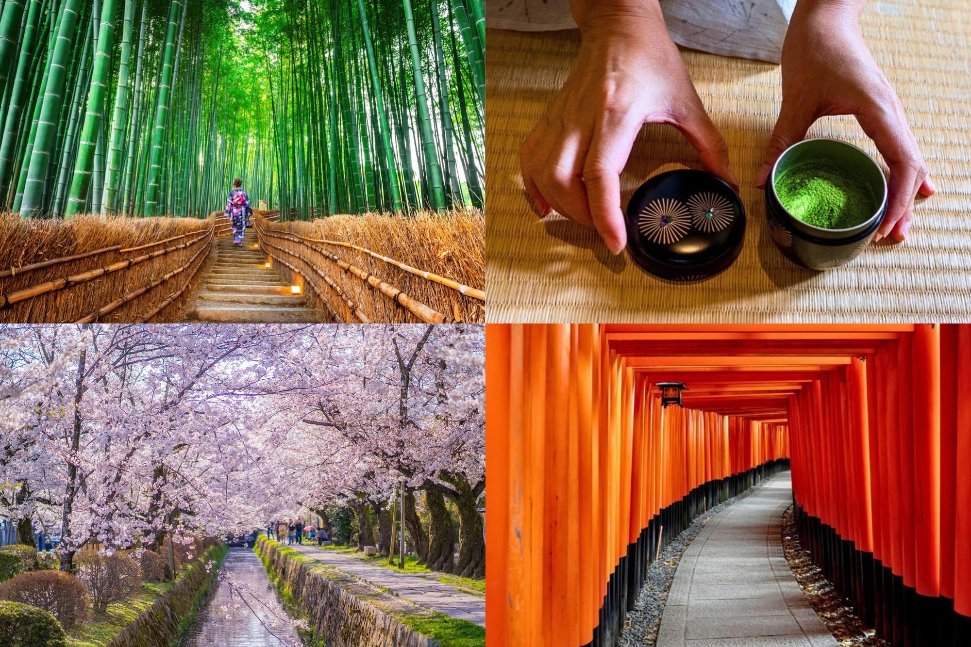 The Essential Bucket List for Attractions in Kyoto: What to See, Do, and Eat in the Ancient City