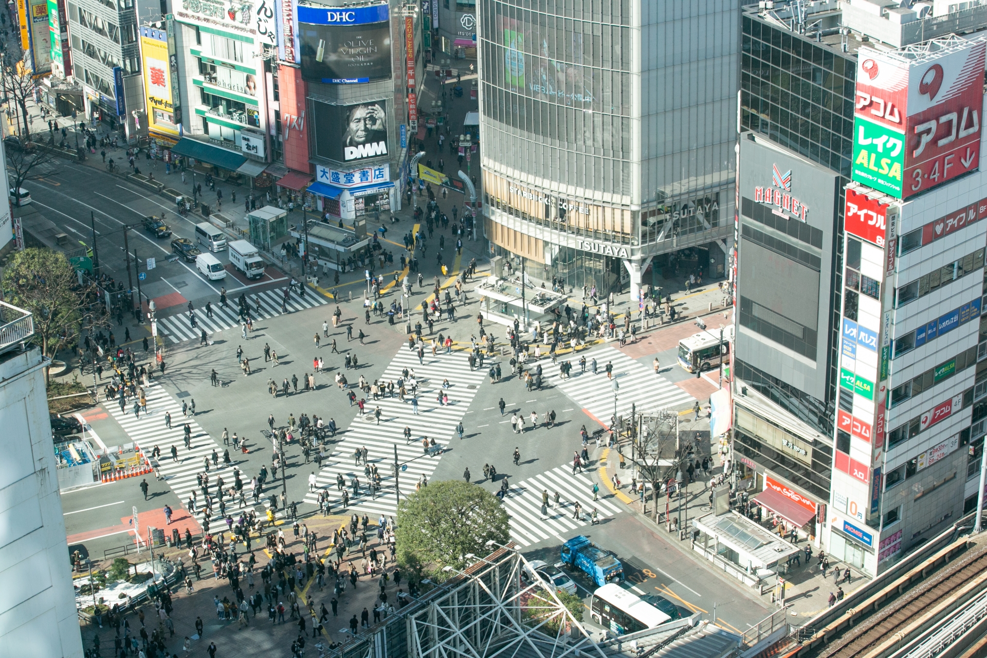 Ginza, Shibuya and Tokyo Tower: A One-Day Tokyo Itinerary from HOTEL TAVINOS Hamamatsucho