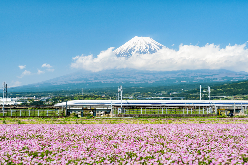 Guide to Traveling Between Tokyo and Kyoto: Shinkansen, Bus, and Flight Options