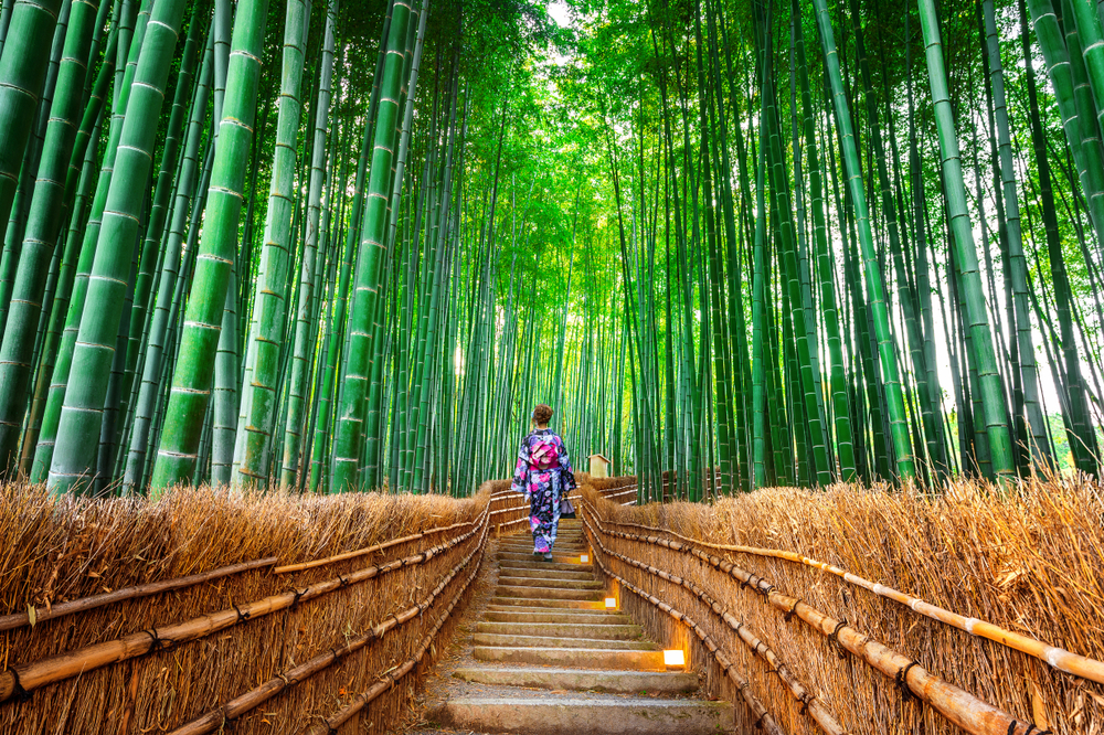 8 Best Things to Do in Arashiyama, Kyoto: Bamboo Grove, Temples and More