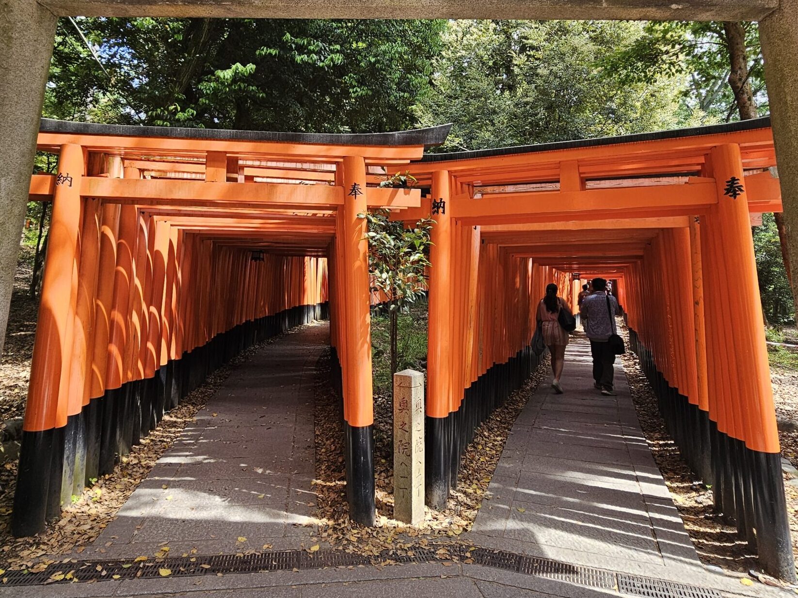 Discover Kyoto Like a Local: Join Our Kyoto Free Walking Tours