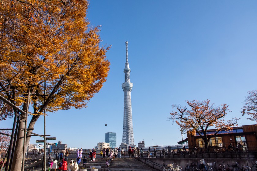 スカイツリー紅葉