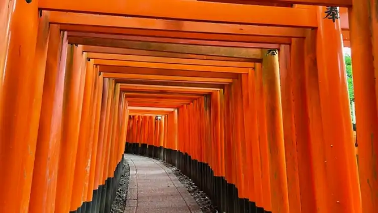 観光拠点として便利の写真